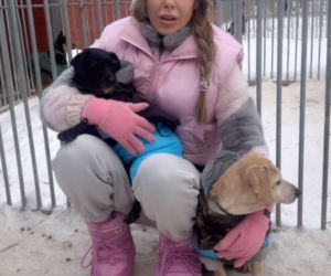 Doda ratuje psy przed mrozem