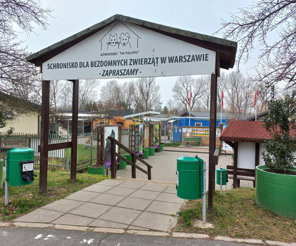 Są wyniki kontroli 