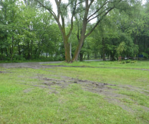 Katowice: Kupa błota i zniszczona rzeźba - po tegorocznych Juwenaliach Śląskich pozostał niesmak [ZDJĘCIA, AUDIO]