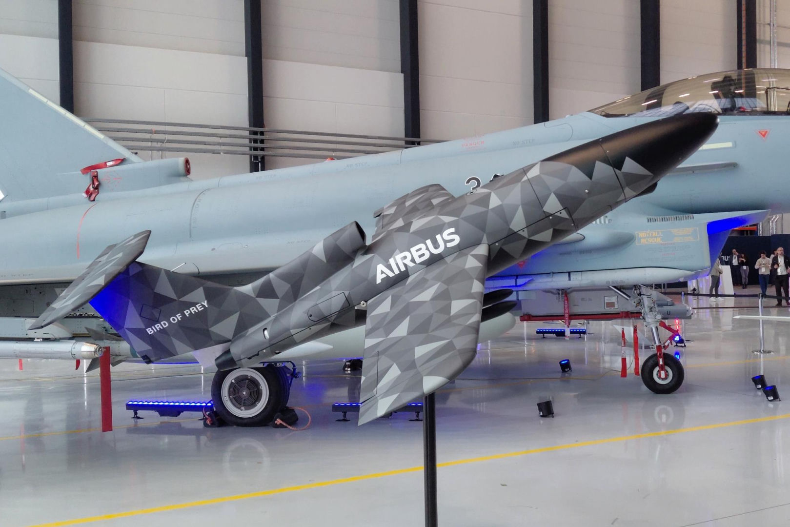 Airbus Bird of Pray