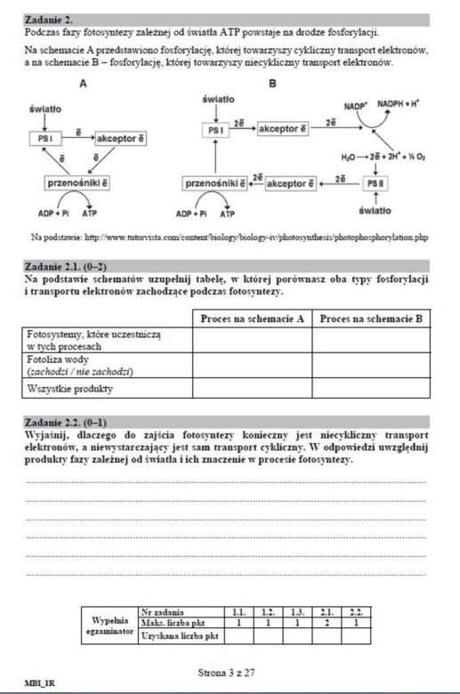 Matura 2019 biologia - poziom rozszerzony