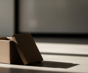 Śmierć gęsi w paczce. Czy hodowczyni naprawdę nie zawiniła?