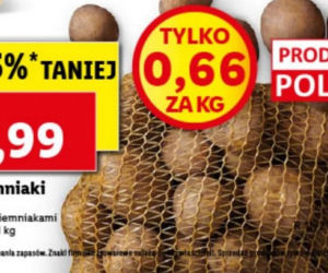 Nowe promocje w Lidlu