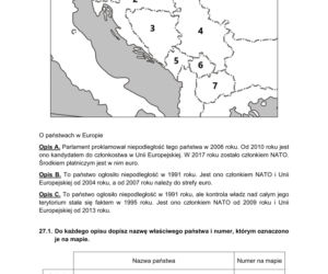 Matura 2021: WOS. Pytania, arkusze CKE, zadania [Matura 11.05.2021]