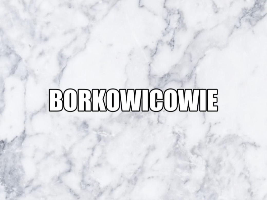 Masz tak na nazwisko? Możesz mieć szlacheckie korzenie! Osoby o tych nazwiskach powinny to wiedzieć