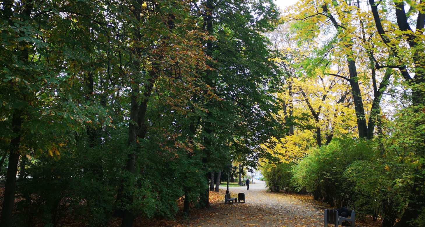 6. Park Stary im. Księcia Józefa Poniatowskiego
