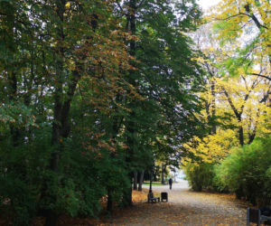 6. Park Stary im. Księcia Józefa Poniatowskiego