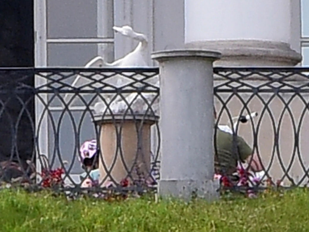 Nawroccy zadomowili się w Belwederze