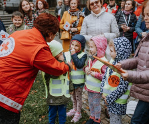 Oby rósł 100 lat! Dąb czerwony na jubileusz 100-lecia PCK