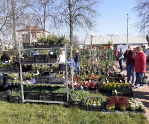 Fotorelacja z wydarzenia Wiosna na polu i w ogrodzie w Siedlcach w 2022 roku