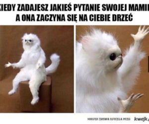  Memy na Dzień Matki 2022 [GALERIA]