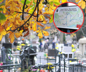 1 listopada w Toruniu: Jak dojechać na cmentarze? Zmiany i utrudnienia na Wszystkich Świętych. Mapy i szczegóły