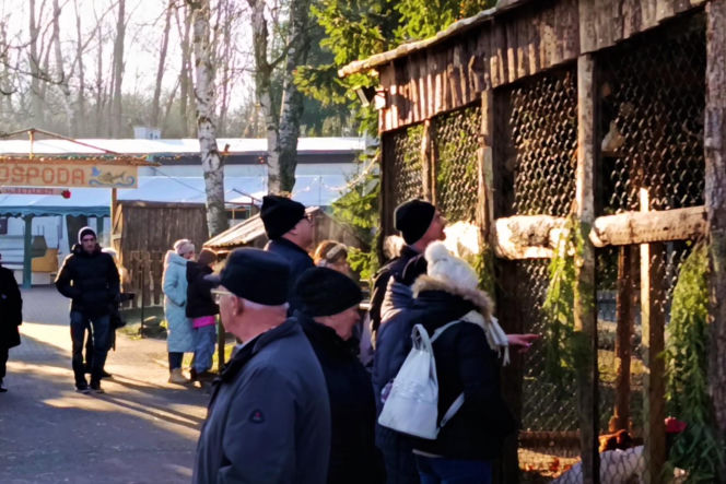 Żywa szopka w Żydowcach