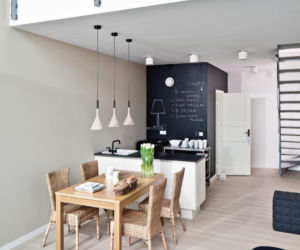 salon z kuchnią loft