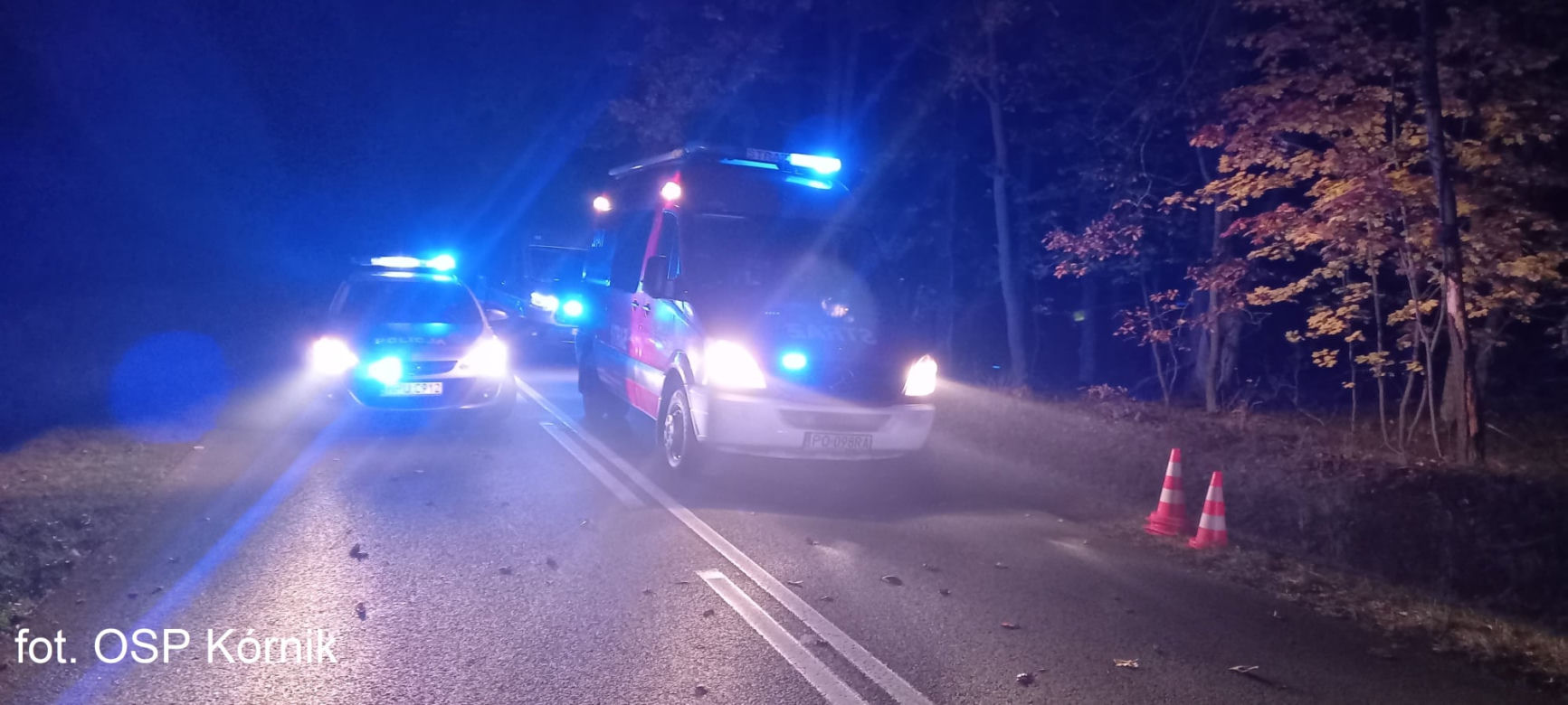 ŚMIERĆ dwóch 18-latków! Nocny dramat na drodze pod Poznaniem