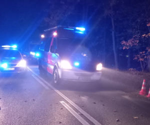 ŚMIERĆ dwóch 18-latków! Nocny dramat na drodze pod Poznaniem