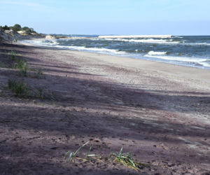 Fioletowy piasek nad Bałtykiem