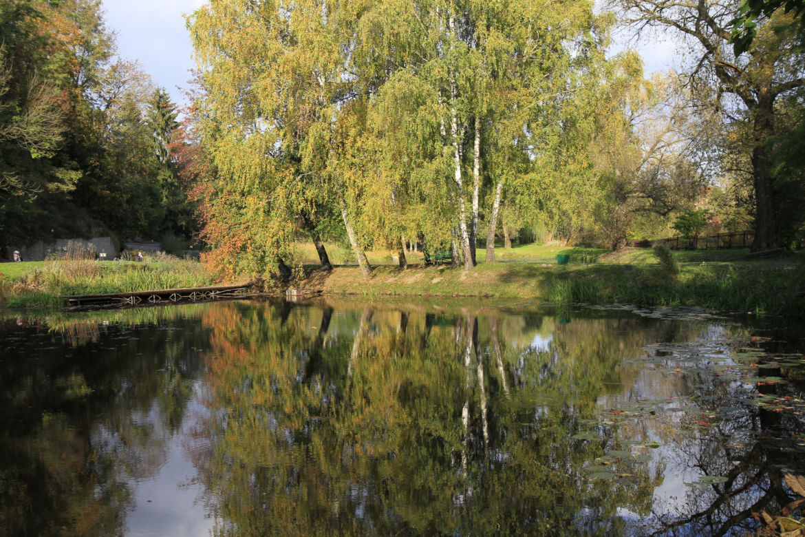 Spacer po jesiennych Ogrodzie Botanicznym w Lublinie