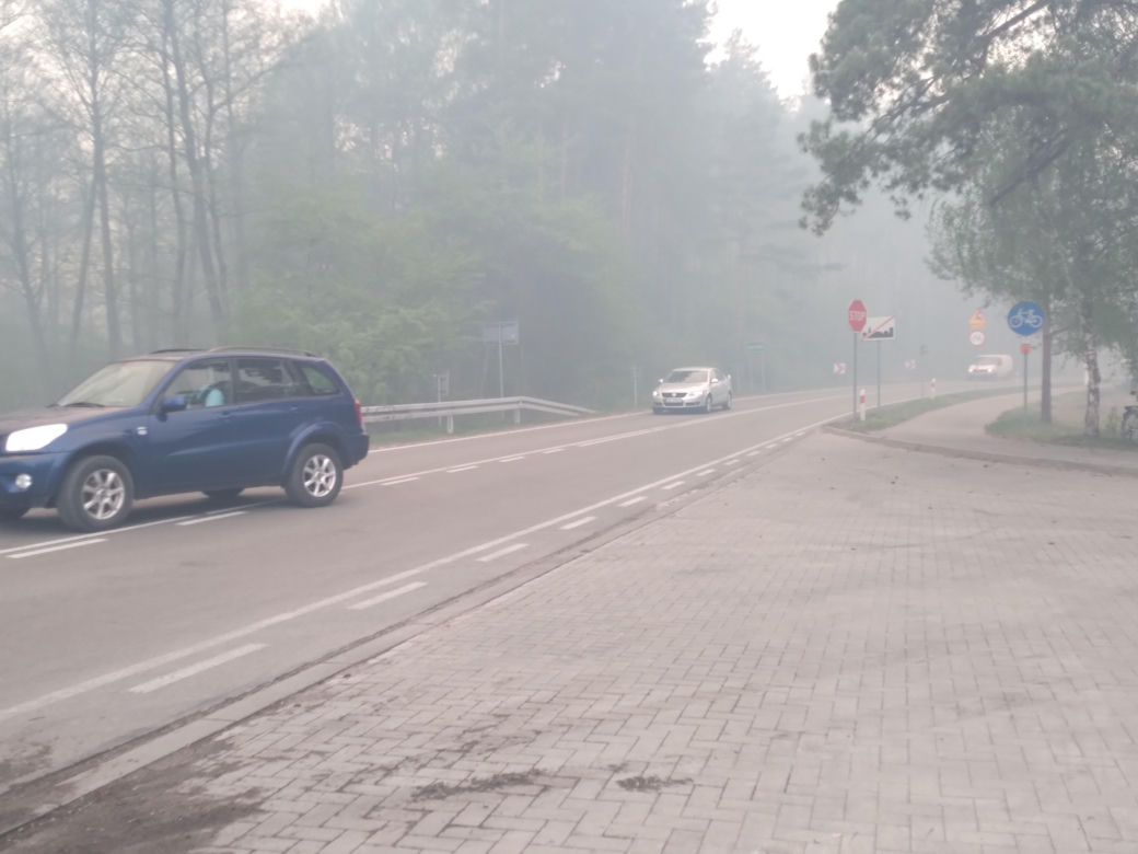 Pożar w Puszczy Białowieskiej