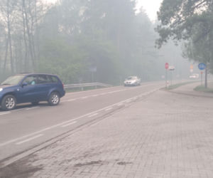 Pożar w Puszczy Białowieskiej
