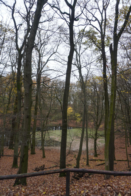 Rezerwat przyrody Meteoryt Morasko