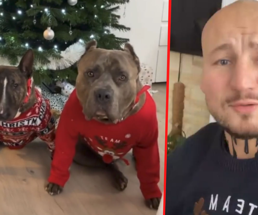 Artur Szpilka z Cycem i Pumbą