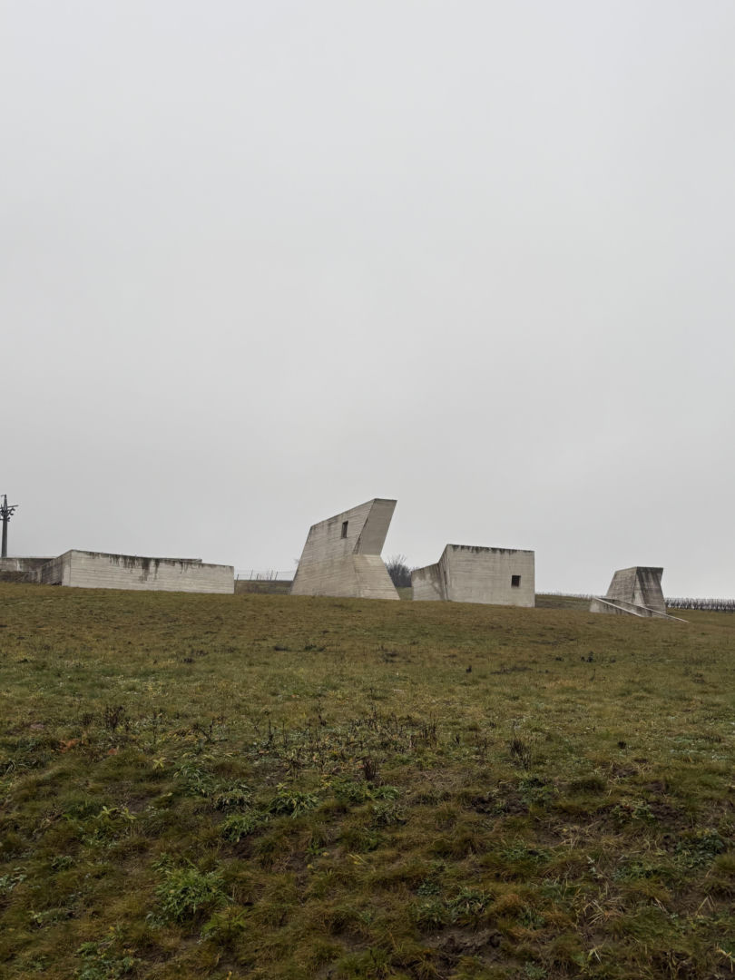 Muzeum archeologiczne w Pavlovie, Czechy