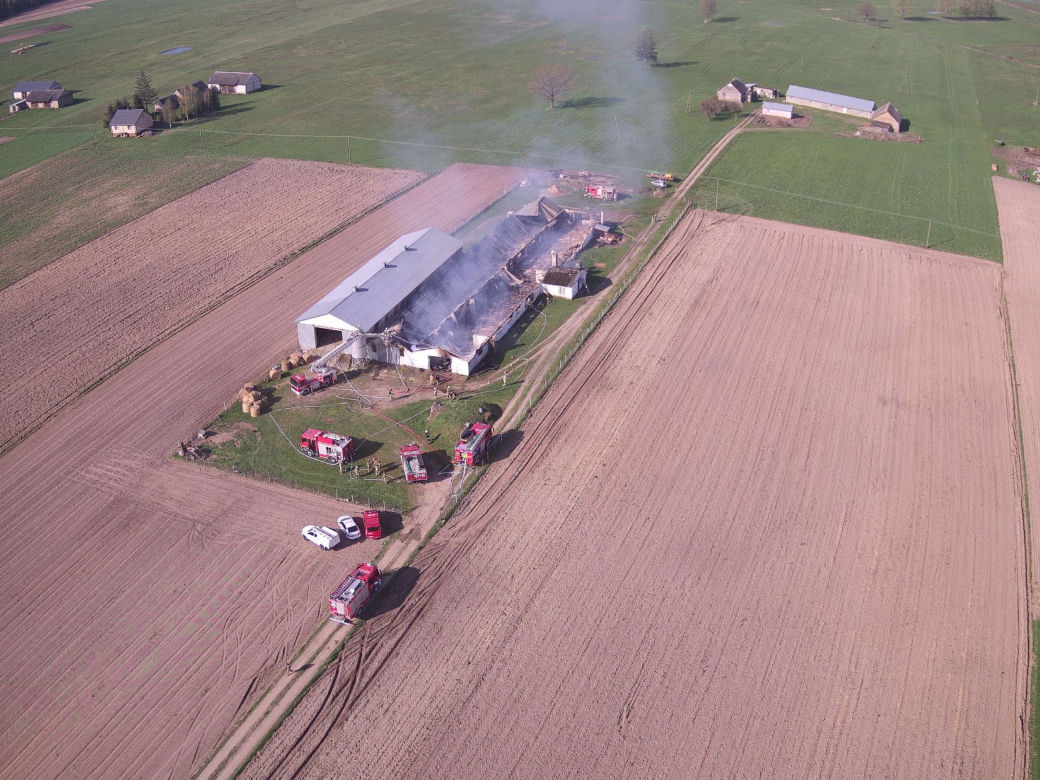 Ogromny pożar kurników w Podlaskiem. W środku było 17 tys. kurcząt
