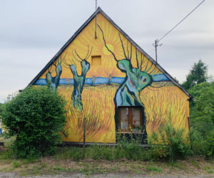 Kolorowe domy inspirowane twórczością Vincenta van Gogha zamieniły wieś liczącą zaledwie stu mieszkańców w prawdziwą atrakcję turystyczną