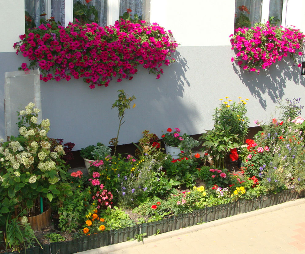 Najpiękniejsze balkony w Starachowicach