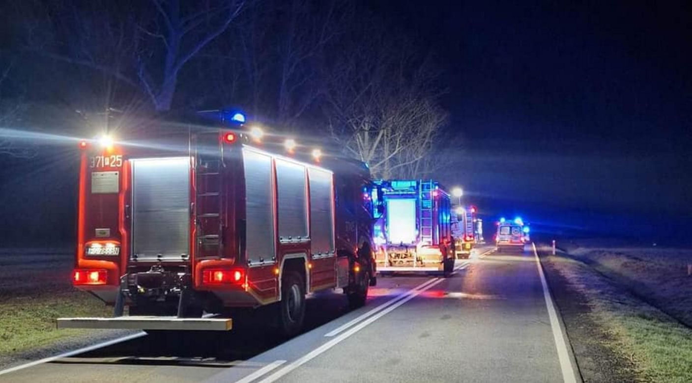 Śmiertelny wypadek pod Skwierzyną! BMW rozpadło się na części po zderzeniu z sarną [ZDJĘCIA]