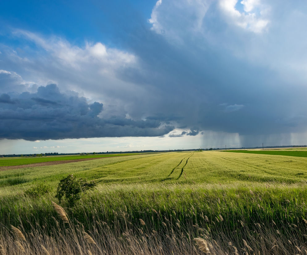Burze i deszcze znowu nad Polską. Pogoda w poniedziałek, 19 lipca znów będzie niebezpieczna