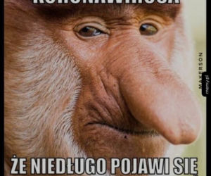 Dziś mija rok od wykrycia koronawirusa w Polsce [MEMY]