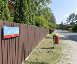 Poszukiwania węża