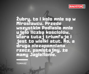 Z czego słynie woj. podlaskie? Odpowiedzi Internautów