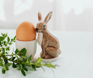 Zamiast wyrzucić – podziel się!