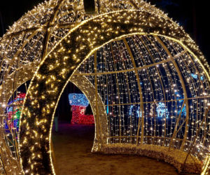 Lumina Park Bydgoszcz