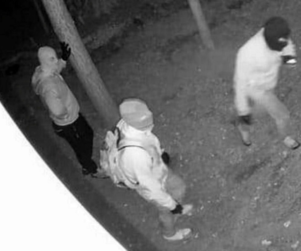 Włamywacze terroryzują osiedle