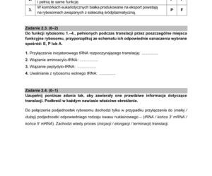 Matura próbna 2021: Biologia poziom rozszerzony. Arkusze CKE sprawdzisz TUTAJ