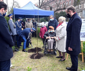 Dęby pamięci dla policjantów zamordowanych w Katyniu