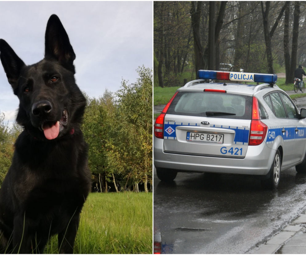 Radom. Wyszedł z domu i zaginął. Po 2 dniach życie uratował mu pies!