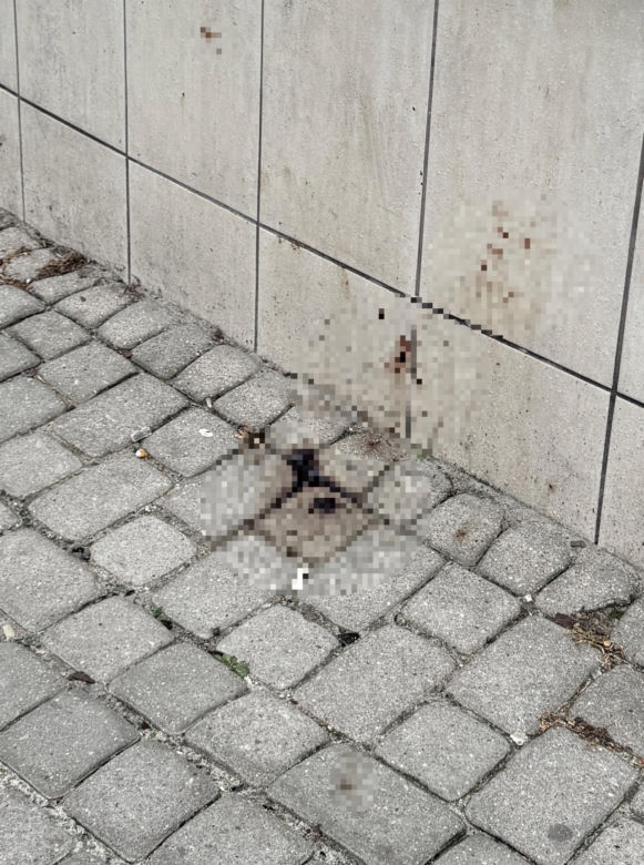 Krwawa bójka w centrum Lublina