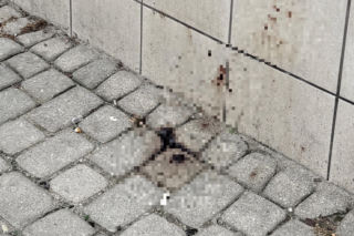 Krwawa bójka w centrum Lublina