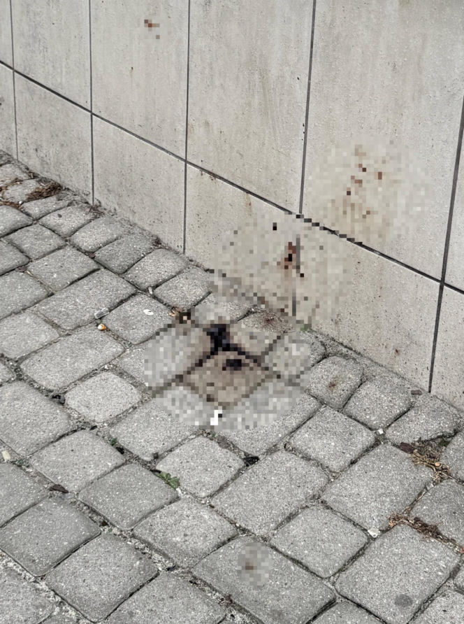 Krwawa bójka w centrum Lublina