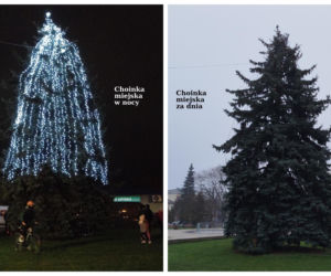 Choinka miejska Siedlce