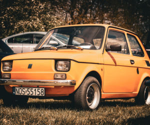 Tak było na Zalewiadzie 2025