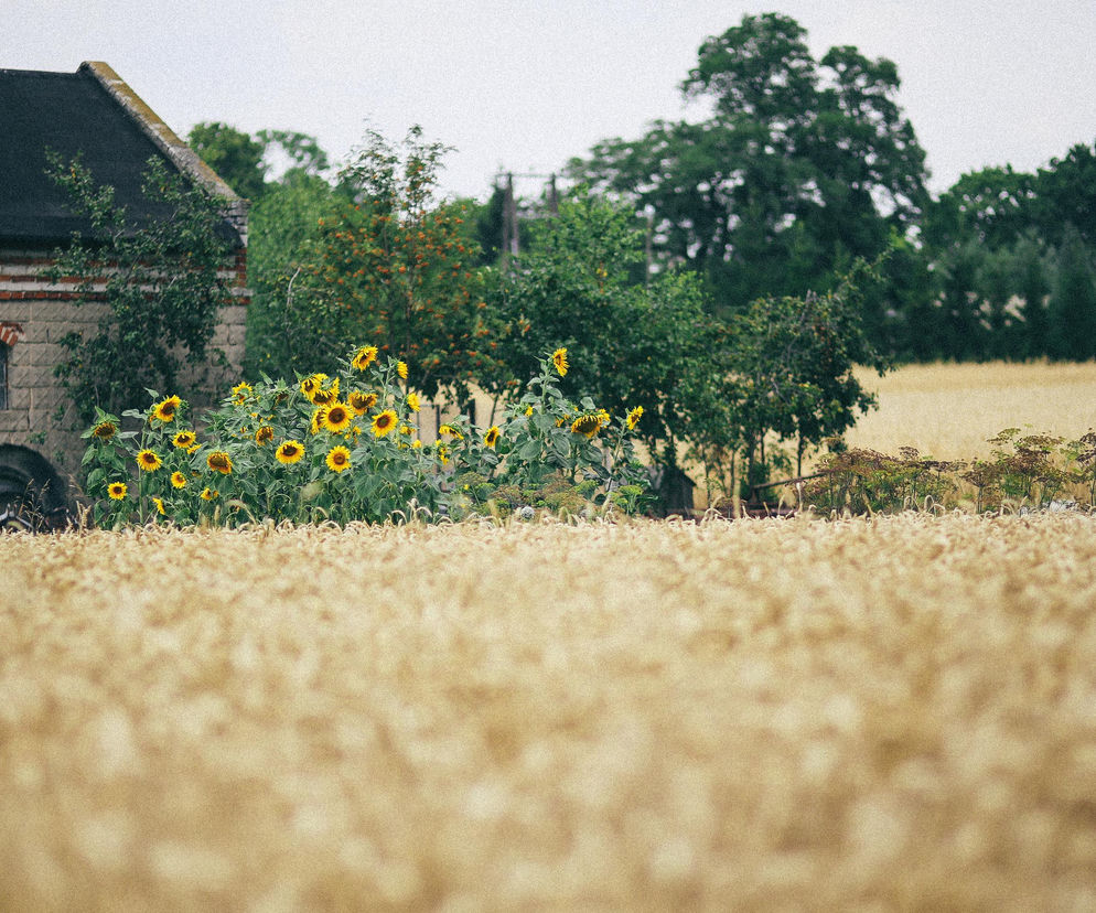 To najdłuższe nazwy miejscowości na Podkarpaciu