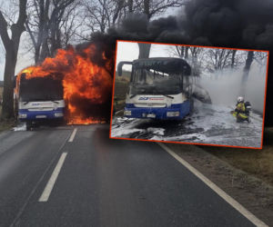 Piekło na drodze! Autobus stanął w płomieniach. W środku kierowca i pasażerka
