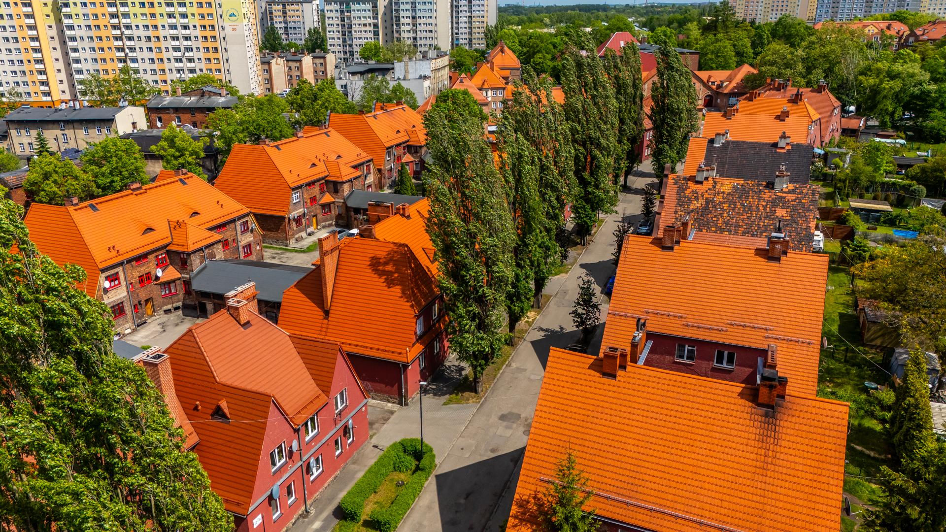 Kolonia Staszica w Rudzie Śląskiej