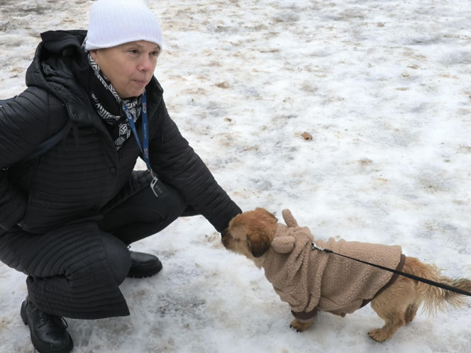 Spacer z pieskami w Lesznie